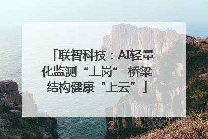 联智科技：AI轻量化监测“上岗” 桥梁结构健康“上云”