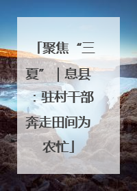 聚焦“三夏”｜息县：驻村干部奔走田间为农忙