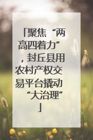聚焦“两高四着力”，封丘县用农村产权交易平台撬动“大治理”