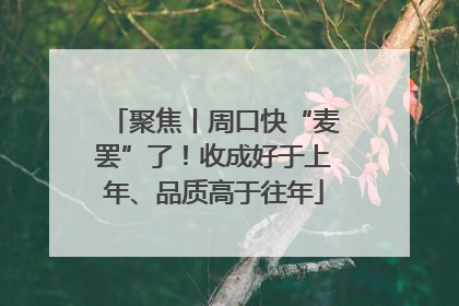 聚焦丨周口快“麦罢”了！收成好于上年、品质高于往年