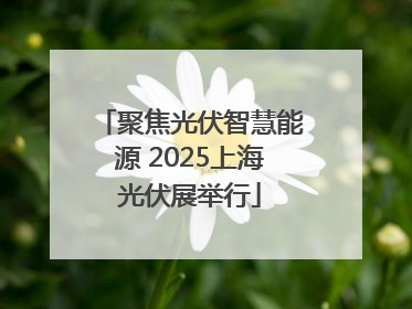 聚焦光伏智慧能源 2025上海光伏展举行