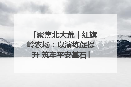 聚焦北大荒｜红旗岭农场：以演练促提升 筑牢平安基石