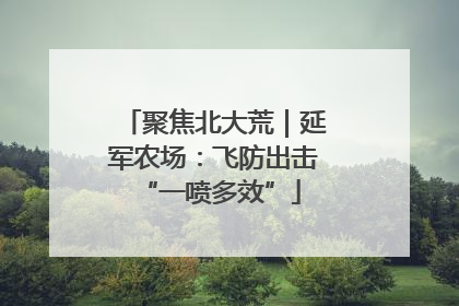 聚焦北大荒｜延军农场：飞防出击 “一喷多效”