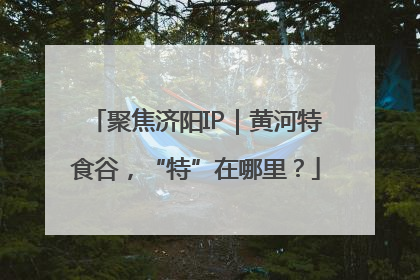 聚焦济阳IP｜黄河特食谷，“特”在哪里？