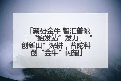 聚势金牛 智汇普陀〡“始发站”发力、“创新田”深耕，普陀科创“金牛”闪耀