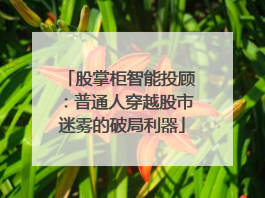 股掌柜智能投顾：普通人穿越股市迷雾的破局利器