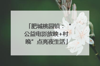 肥城桃园镇：“公益电影放映+村晚”点亮夜生活