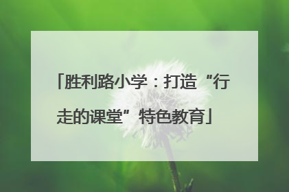 胜利路小学：打造“行走的课堂”特色教育