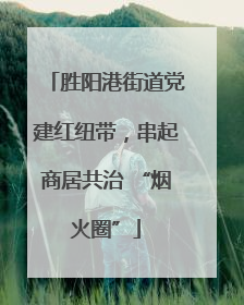 胜阳港街道党建红纽带，串起商居共治 “烟火圈”