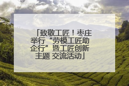 致敬工匠！枣庄举行“劳模工匠助企行”暨工匠创新主题 交流活动