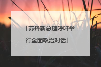 苏丹新总理呼吁举行全面政治对话