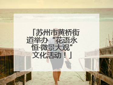 苏州市黄桥街道举办“花语永恒·微景大观”文化活动！