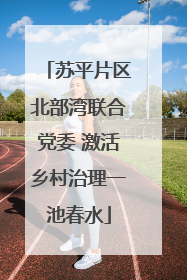 苏平片区北部湾联合党委 激活乡村治理一池春水