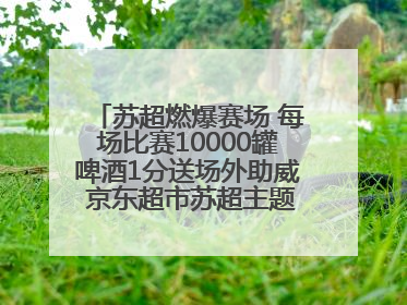 苏超燃爆赛场 每场比赛10000罐啤酒1分送场外助威 京东超市苏超主题会场上线