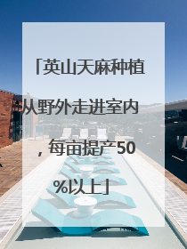 英山天麻种植从野外走进室内，每亩提产50%以上