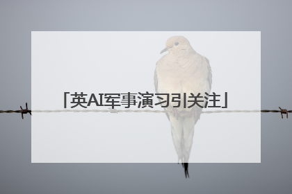 英AI军事演习引关注