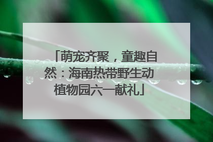 萌宠齐聚，童趣自然：海南热带野生动植物园六一献礼