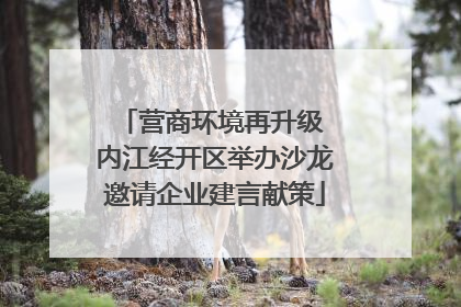 营商环境再升级 内江经开区举办沙龙邀请企业建言献策