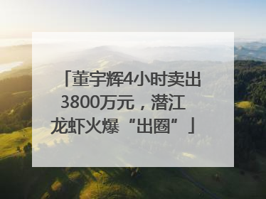 董宇辉4小时卖出3800万元，潜江龙虾火爆“出圈”