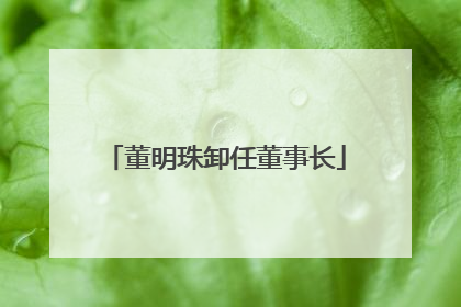 董明珠卸任董事长