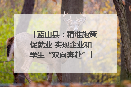 蓝山县：精准施策促就业 实现企业和学生“双向奔赴”