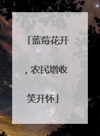 蓝莓花开，农民增收笑开怀