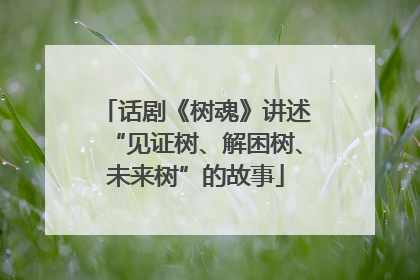 话剧《树魂》讲述“见证树、解困树、未来树”的故事