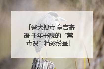 警犬搜毒 童言寄语 千年书院的“禁毒课”精彩纷呈