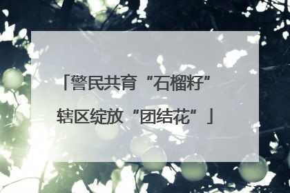 警民共育“石榴籽” 辖区绽放“团结花”