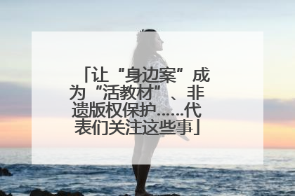 让“身边案”成为“活教材”、非遗版权保护……代表们关注这些事