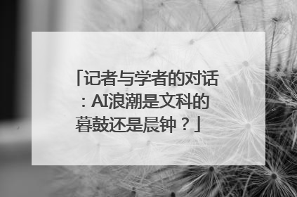 记者与学者的对话：AI浪潮是文科的暮鼓还是晨钟？