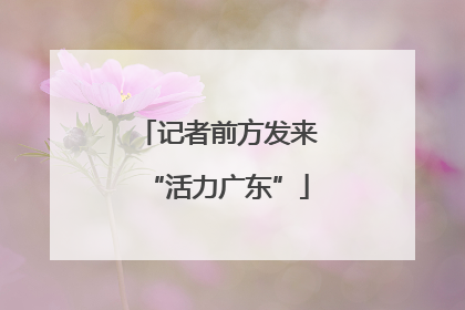 记者前方发来“活力广东”