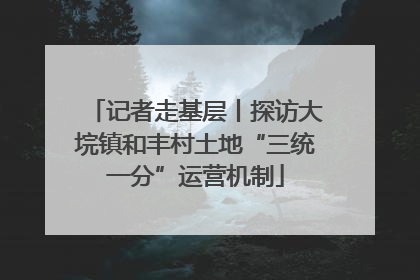 记者走基层丨探访大垸镇和丰村土地“三统一分”运营机制