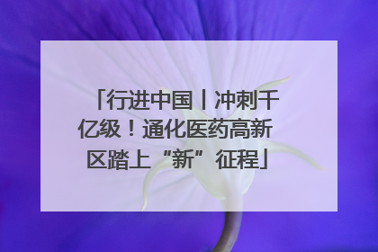 行进中国丨冲刺千亿级！通化医药高新区踏上“新”征程