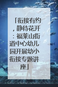 衔接有约，静待花开：福莱山街道中心幼儿园开展幼小衔接专题讲座