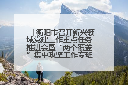衡阳市召开新兴领域党建工作重点任务推进会暨“两个覆盖”集中攻坚工作专班 第一次会议