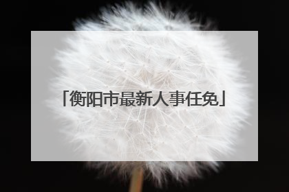 衡阳市最新人事任免