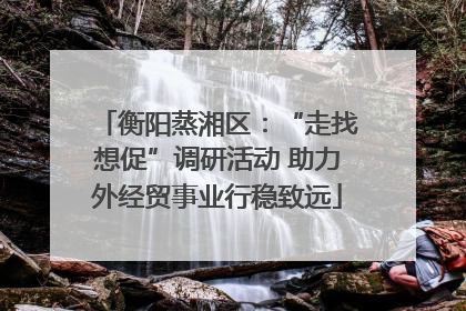 衡阳蒸湘区：“走找想促”调研活动 助力外经贸事业行稳致远