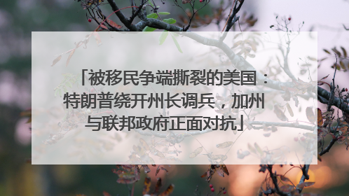 被移民争端撕裂的美国：特朗普绕开州长调兵，加州与联邦政府正面对抗