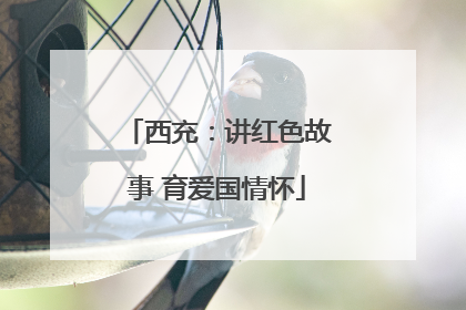 西充：讲红色故事 育爱国情怀