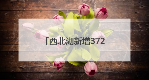 西北湖新增372个地下智能停车位，地上变小游园