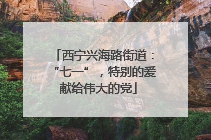 西宁兴海路街道：“七一”，特别的爱献给伟大的党