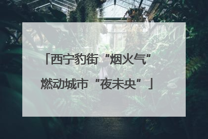 西宁豹街“烟火气” 燃动城市“夜未央”