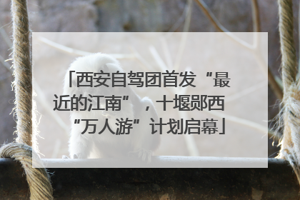 西安自驾团首发“最近的江南”，十堰郧西“万人游”计划启幕