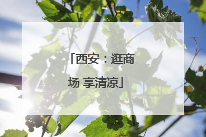 西安：逛商场 享清凉