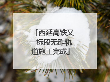 西延高铁又一标段无砟轨道施工完成