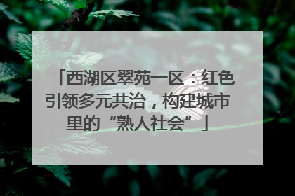 西湖区翠苑一区：红色引领多元共治，构建城市里的“熟人社会”