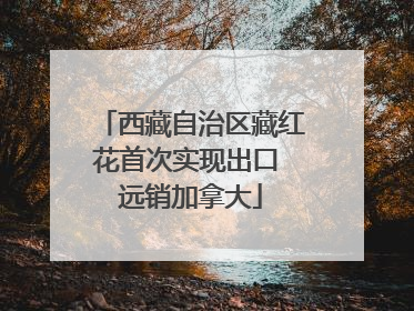 西藏自治区藏红花首次实现出口 远销加拿大