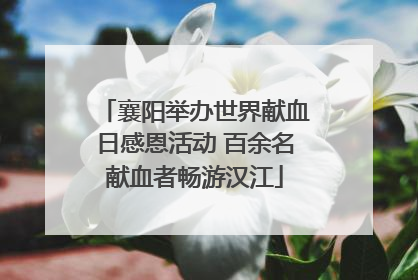 襄阳举办世界献血日感恩活动 百余名献血者畅游汉江