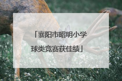 襄阳市昭明小学球类竞赛获佳绩